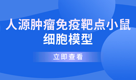 人源腫瘤免疫靶點小鼠細胞模型